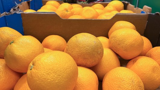 В Киров привезли тонну зараженных апельсинов