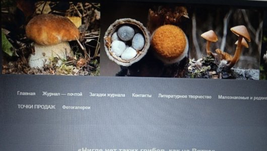 Лучшие грибы, пармезан и баня! - губернатор Кировской области пригласил россиян в гости в регион в эфире Первого канала