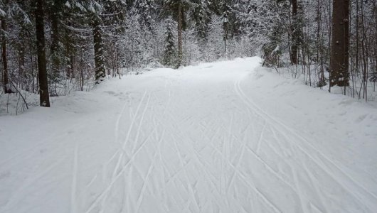 В Кирове оборудуют бесплатные лыжные трассы. Где они располагаются?