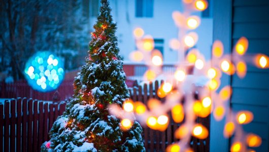 В поисках новогоднего настроения: три способа ощутить атмосферу праздника этой зимой