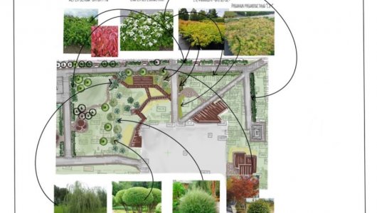 Разработана концепция озеленения сквера «Борцам революции». Как будет выглядеть сквер?