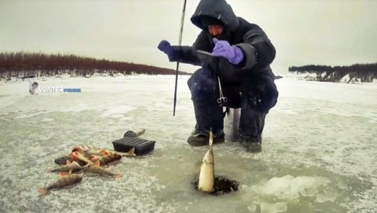 День хорошего клёва и аварий на дороге - лунный гороскоп на 19 декабря: чего лучше во вторник не делать, а чему наоборот найти время?   