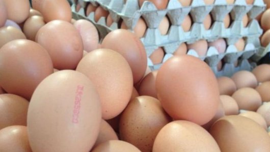Когда уже упадут цены на яйца? Официальный ответ властей