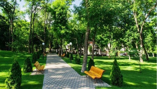 В 2024 году в Кирове зазеленеют 2 новых сквера
