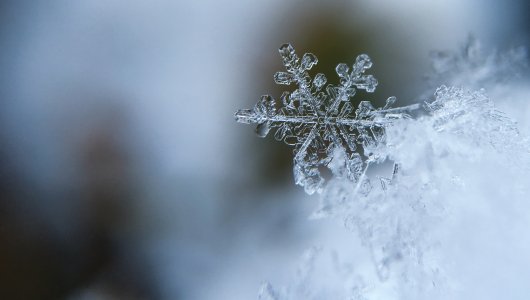 Киров снова засыплет снегом. Прогноз погоды на ближайшие дни