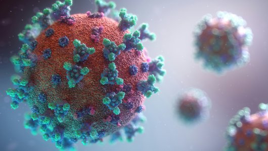 Врач сообщил об опасности вируса гриппа. Может ли он вызвать новую пандемию?