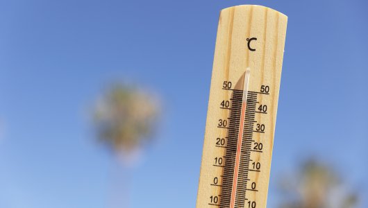 +35 в тени. Синоптики обещают, что это лето будет самым жарким за всю историю метеонаблюдений