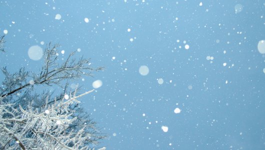В пятницу Киров завалит снегом. Когда закончится непогода?