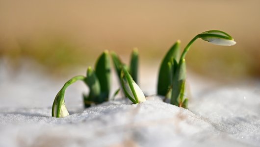 Потепление до +6 и гололедица. Прогноз погоды на четверг