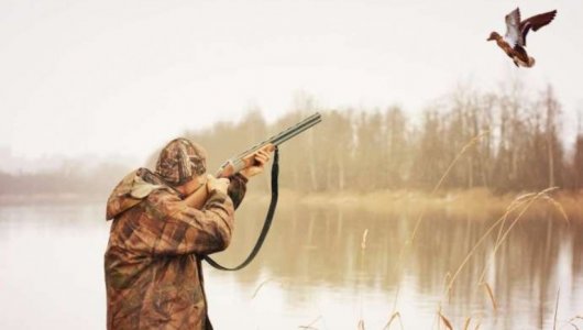 В Кировской области определились со сроками весенней охоты-2024