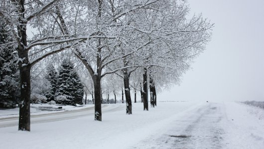 Мощные снегопады обрушатся на Киров. Метеорологи-любители предупредили кировчан о резком ухудшении погоды