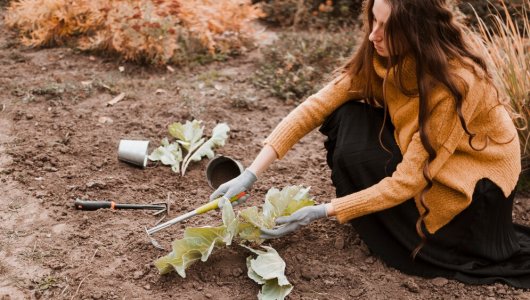 Инструкция для садоводов: как определить, какие удобрения помогут вырастить богатый урожай именно на вашем участке?