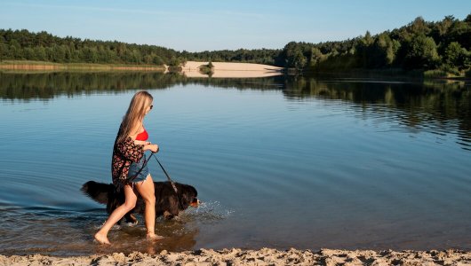 Кировчане летом смогут отдохнуть на 86 пляжах области