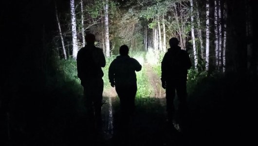 Пропавшую 85-летнюю кировчанку нашли в лесу