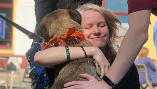 Стала известна дата фестиваля в защиту бездомных животных в Кирове