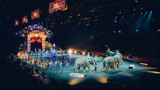 Циркачи из 8 стран приедут в Киров на Международный фестиваль