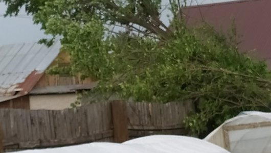 По Кировской области прошел ураган, машины и дома жителей оказались под упавшими деревьями
