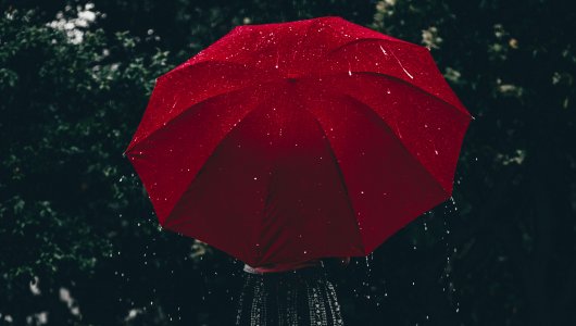 Синоптики пообещали кировчанам дождливые выходные