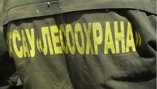 Кировские парашютисты-пожарные спасают от огня Забайкалье 
