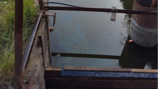 Нефтяную реку обнаружили кировчане у деревни Никуленки