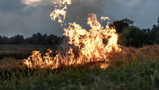МЧС сообщает о высокой пожарной опасности в Кировской области