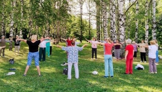 Правильное дыхание, чёткое зрение и чувство равновесия: где в Кирове можно бесплатно позаниматься йогой?