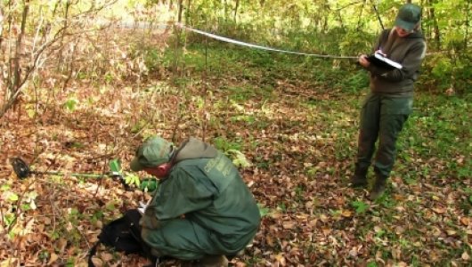 В Кировской области один охотник застрелил другого