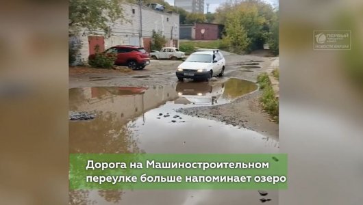 Рыжая гостья гуляет по городу.