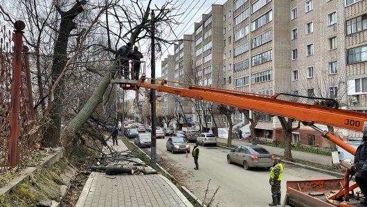 В Кировской области сильный ветер валит деревья. Фото