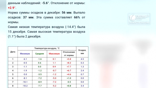 Аномальный декабрь в области