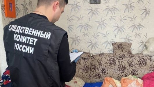 Кировчанина подозревают в покушении на убийство собственной бабушки