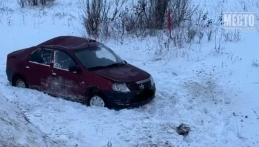 Перевертыш в Котельничском районе