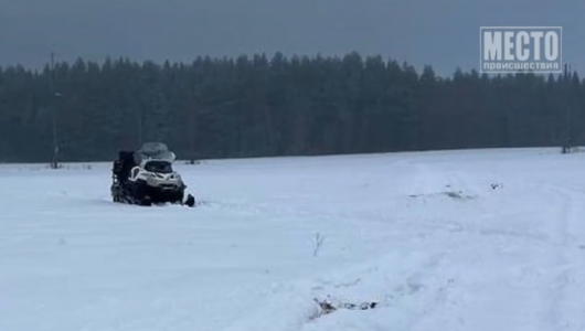 Водитель погиб, ребенок выжил. Авария со снегоходом