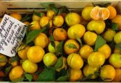 Абхазские мандарины подорожали на 35%. В чем причина?