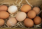 Производители яиц снизили цены. На сколько подешевел продукт в регионе?