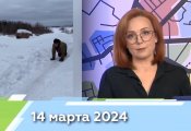 Новости Кирова за 14.03.2024