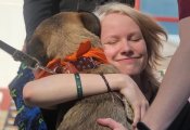 Стала известна дата фестиваля в защиту бездомных животных в Кирове
