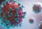 Осенью кировчан ждёт новый пик заболеваемости коронавирусом
