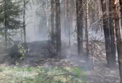 Туристы сожгли лес 