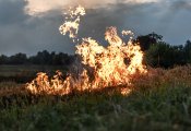 МЧС сообщает о высокой пожарной опасности в Кировской области
