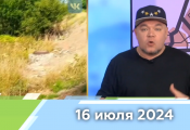 Новости Кирова 16.07.2024